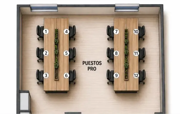 Layout-Coworking PRO.webp